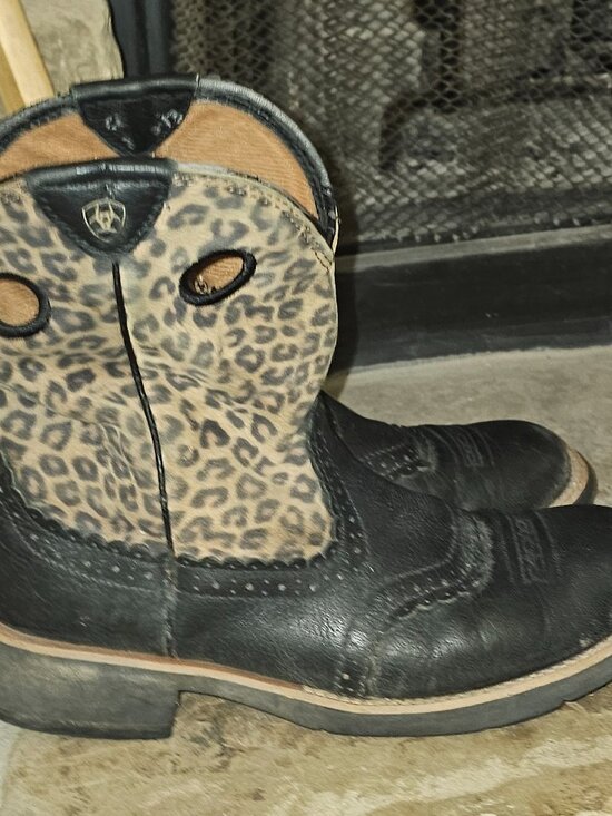 Ariat Shoes - Ariat Ladies Boots